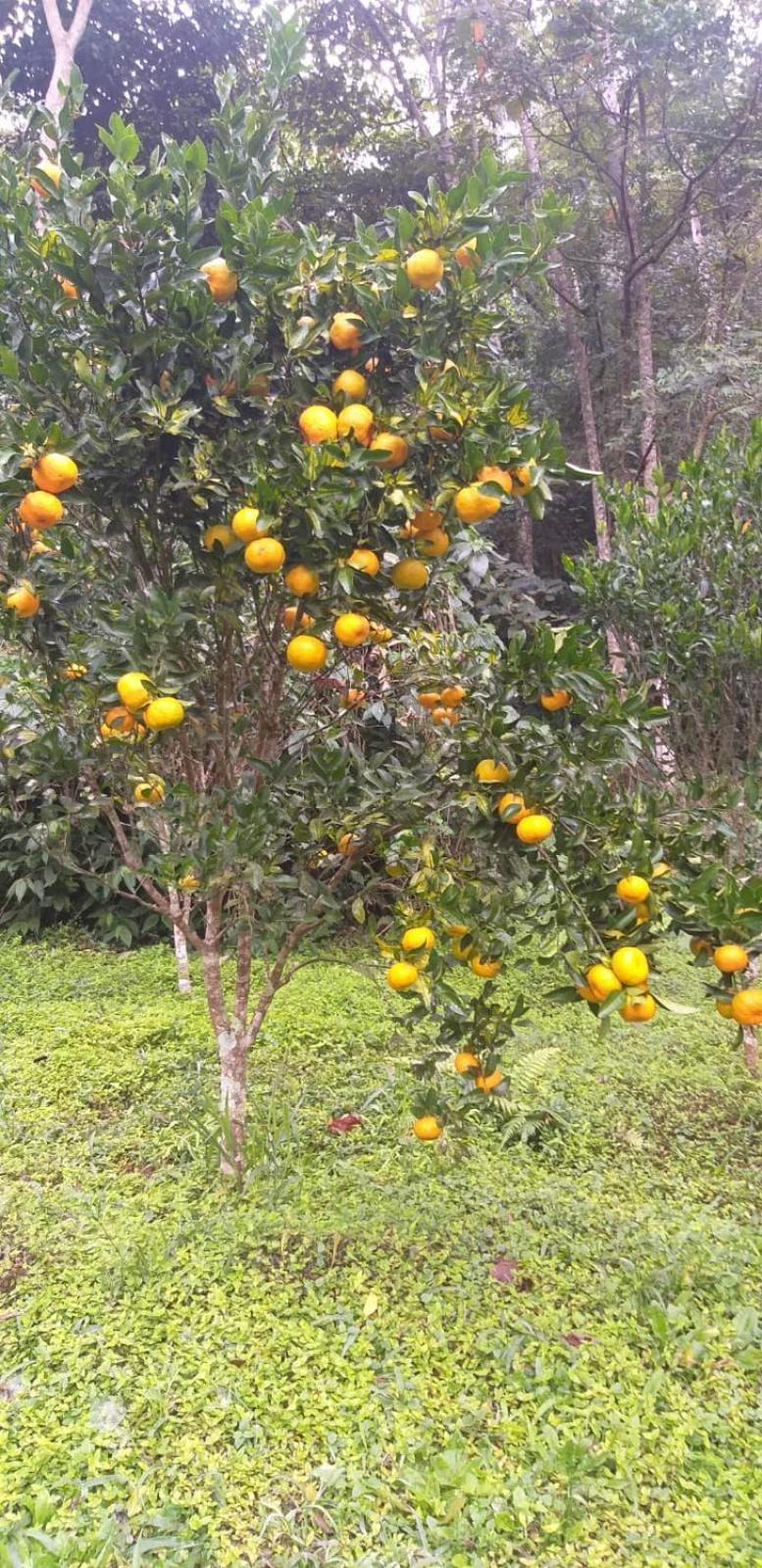 Fazenda Piloes Vila Petrópolis Exterior foto