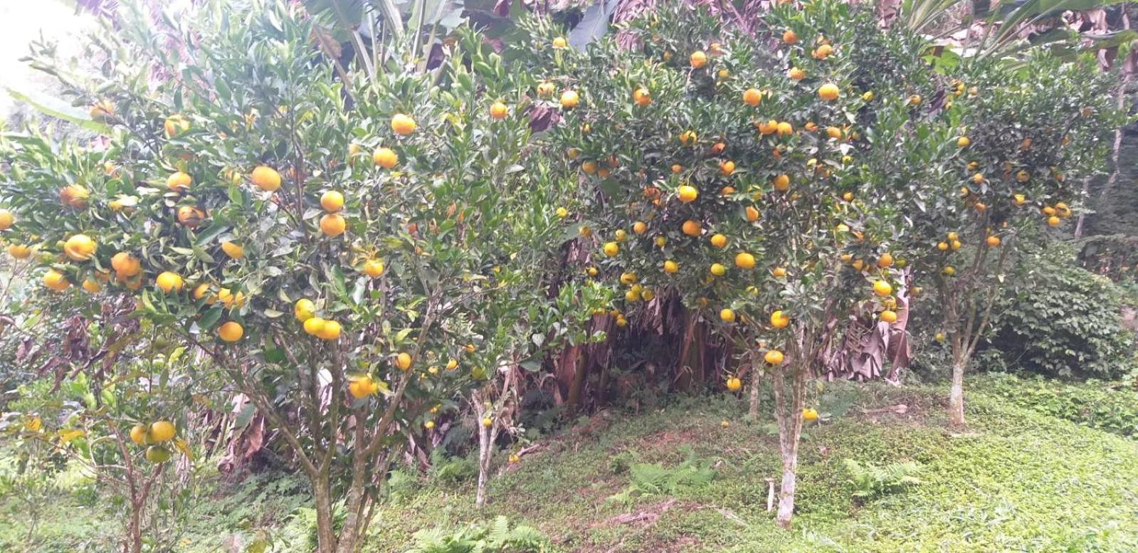 Fazenda Piloes Vila Petrópolis Exterior foto