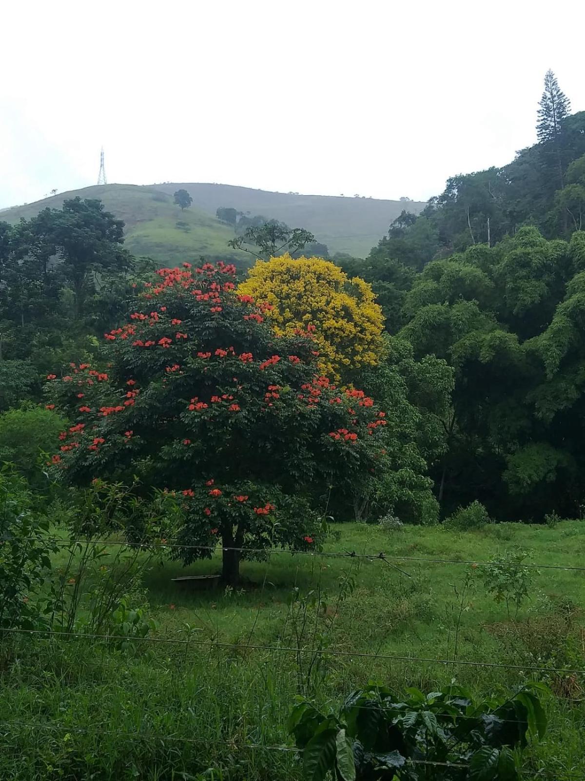 Fazenda Piloes Vila Petrópolis Exterior foto