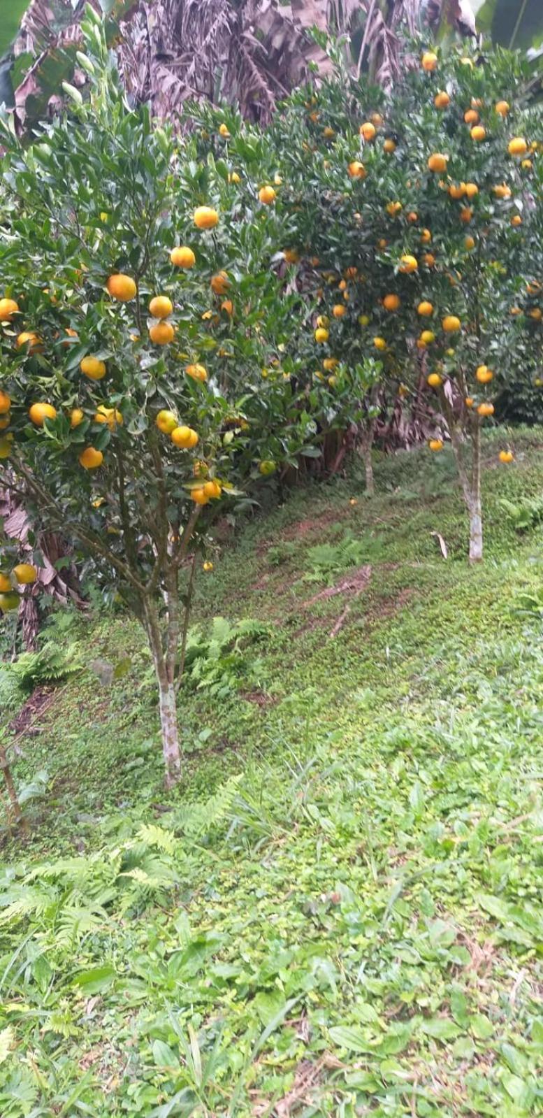 Fazenda Piloes Vila Petrópolis Exterior foto