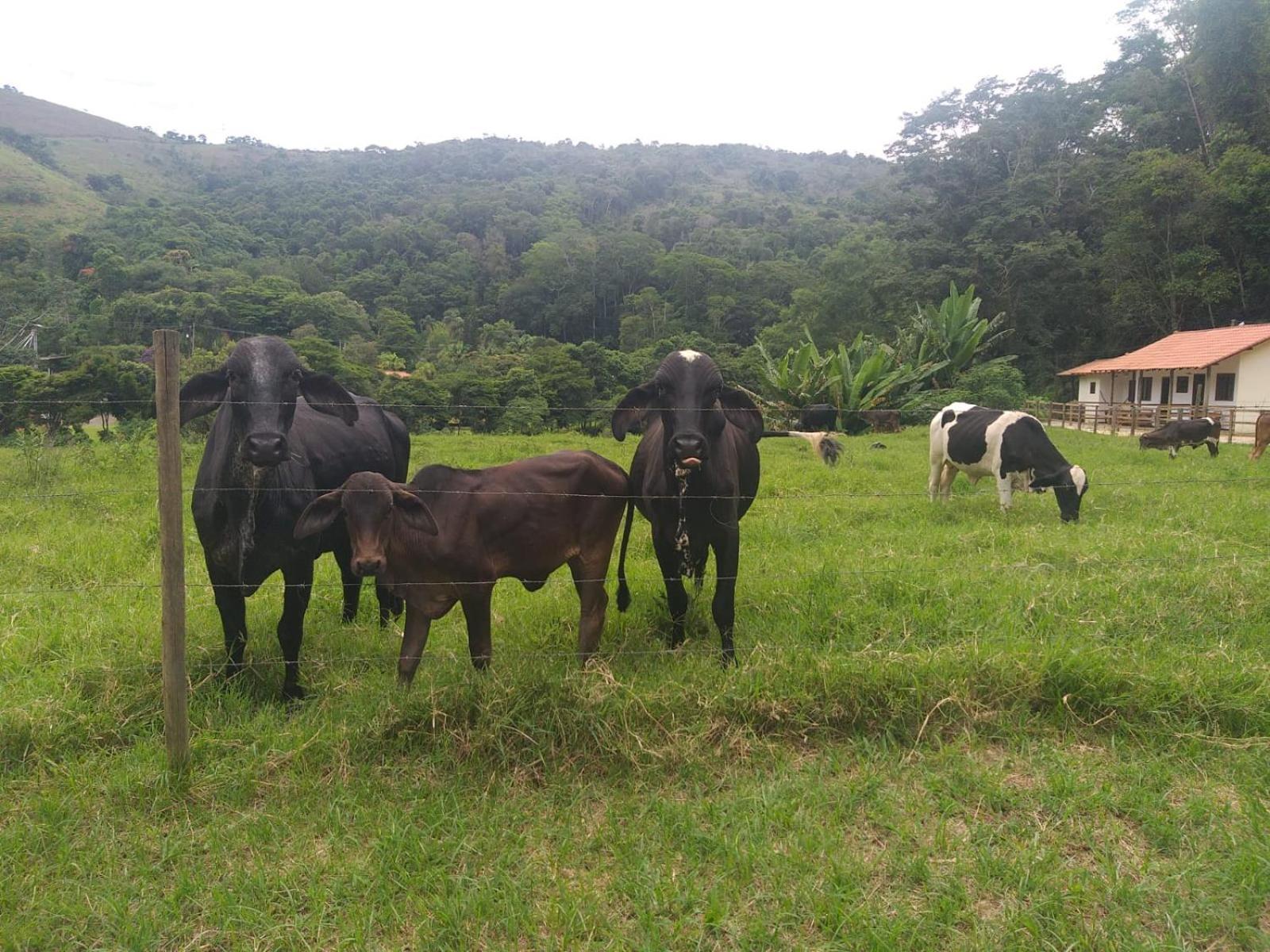 Fazenda Piloes Vila Petrópolis Exterior foto